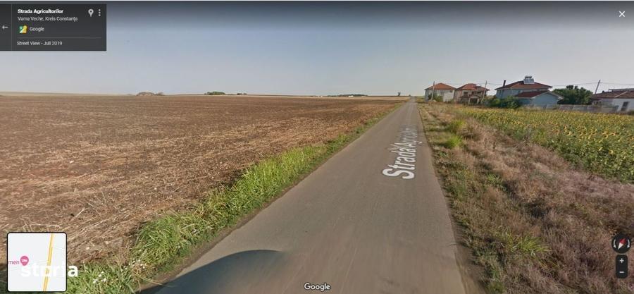 Teren Vama Veche 1,9ha (19.000m2) de la proprietar, strada asfaltata - 4
