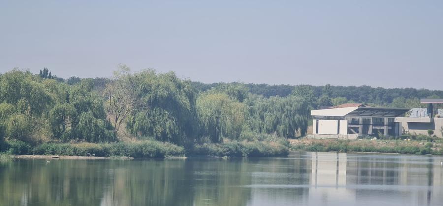 Teren Construcții intravilan de 16000 mp, în Tamași