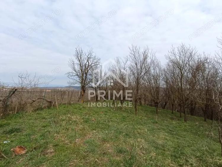 Teren de 1295 mp, în Straja