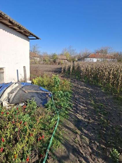 Vand casa in comuna Marsani dolj - 2