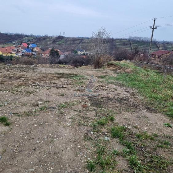Teren Construcții intravilan de 3133 mp, în Cantemir