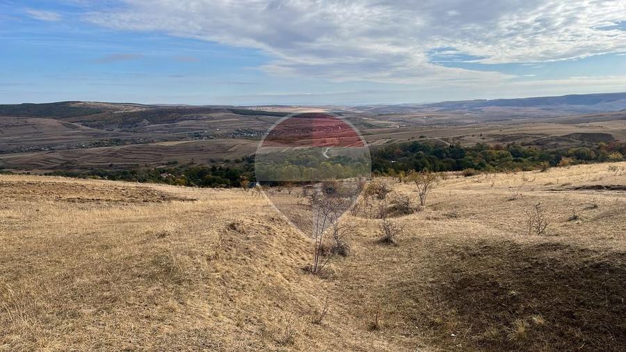 Teren agricol extravilan de 4000 mp, în Pădureni (Ciurila)