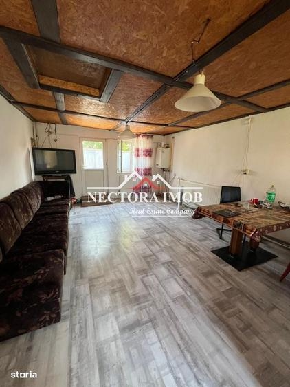 NECTORA IMOB-Casa 5 camere, 2 bai, 2 terase, 180 mp, Episcopia,Utilata - 14