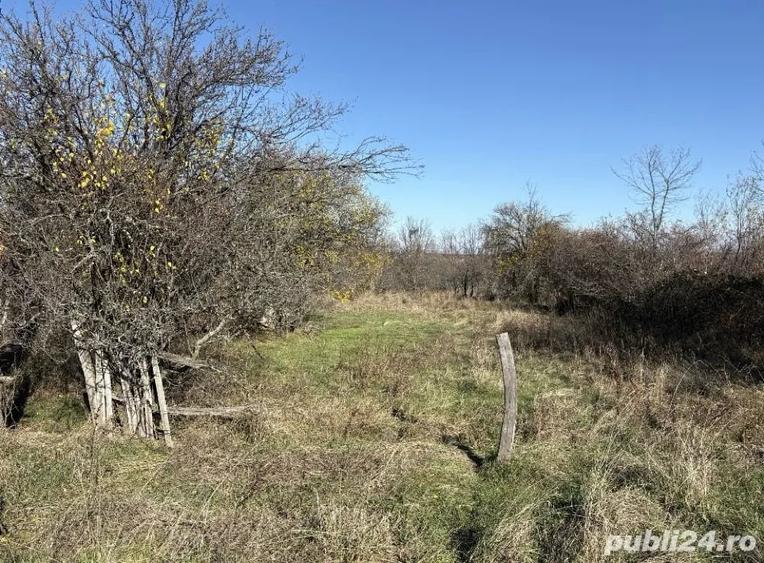 Teren de 2200 mp, în Poiana Lacului