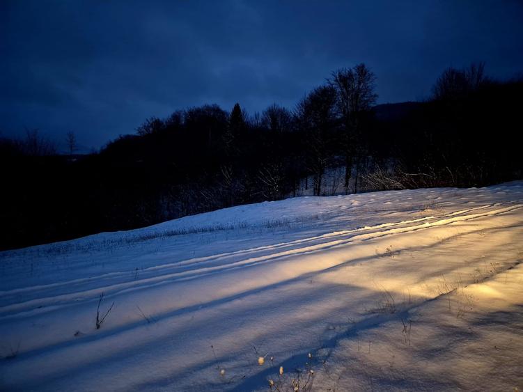 Teren agricol extravilan de 5000 mp, în Șinca Nouă