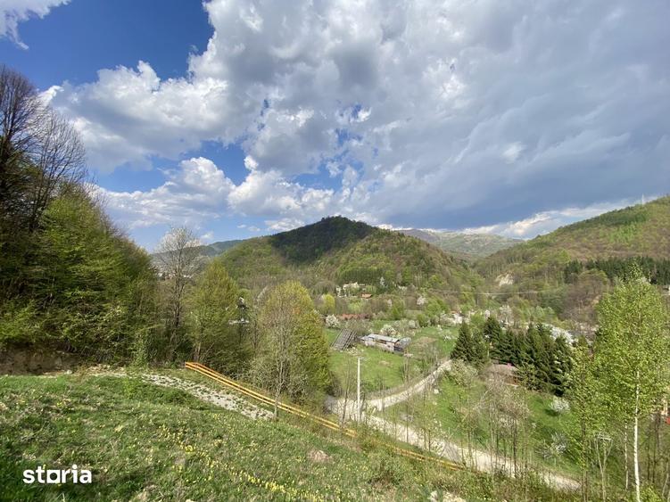 Teren de 4360 mp, în Valea Doftanei