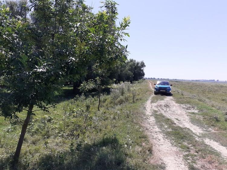 Teren Construcții extravilan de 5000 mp, în Mahmudia
