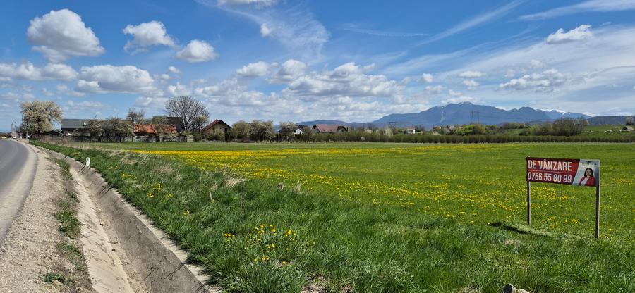 Teren Construcții intravilan de 10864 mp, în Bran