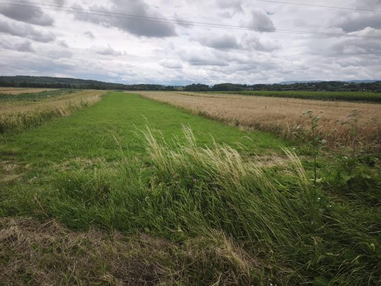 Teren Construcții extravilan de 6200 mp, în Gălănești