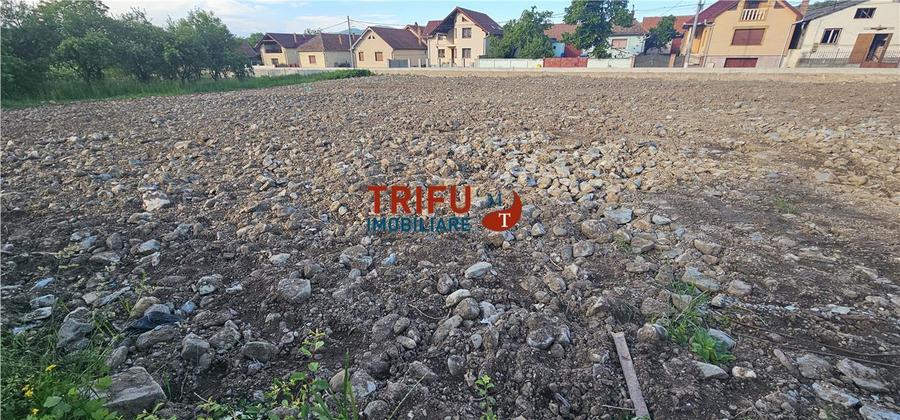 Teren Construcții intravilan de 800 mp, în Ighiu