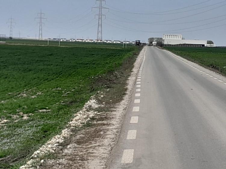 Teren agricol extravilan de 7462 mp, în Berceni