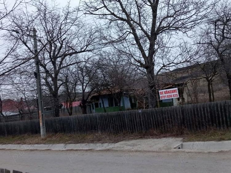 Teren de 4800 mp, în Ivănești