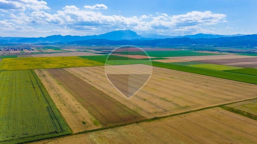 Teren agricol extravilan de 20000 mp, în Cristian