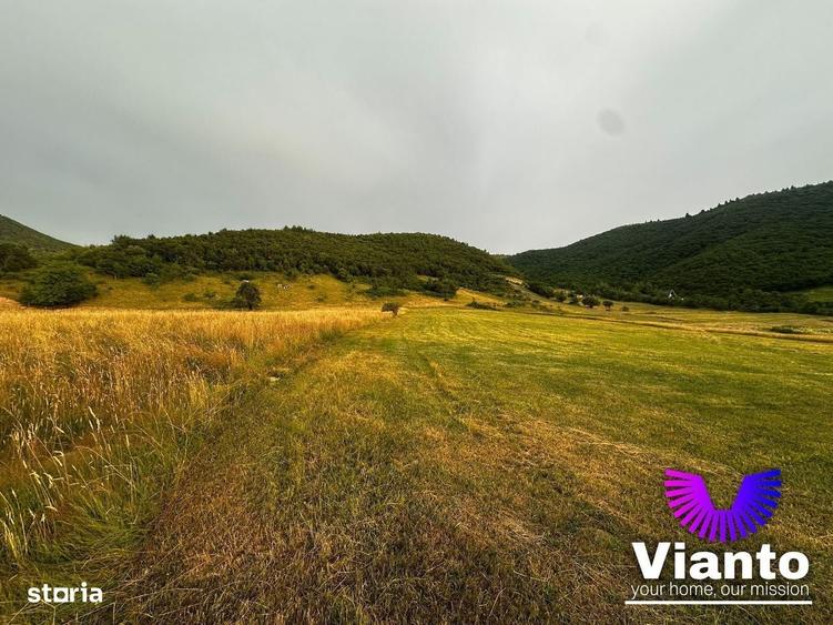 Oportunitate Teren Pt Investitie 3408mp in Gura Raului - 3