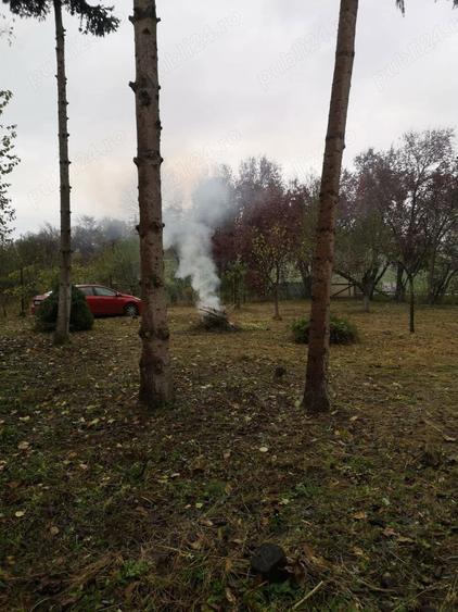 Casă cu 2 camere în Central