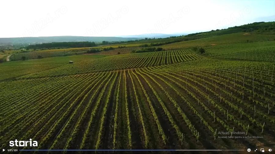 Teren de 165000 mp, în Pleașa