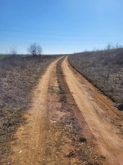 Teren agricol extravilan de 5001 mp, în Șimian