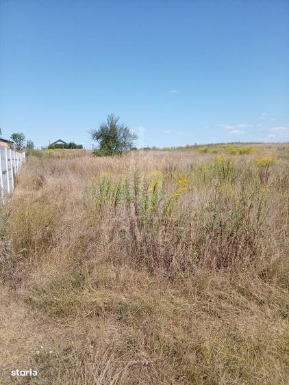 Teren intravilan de vanzare in Avrig | 1.000 mp | PUZ aprobat - 2