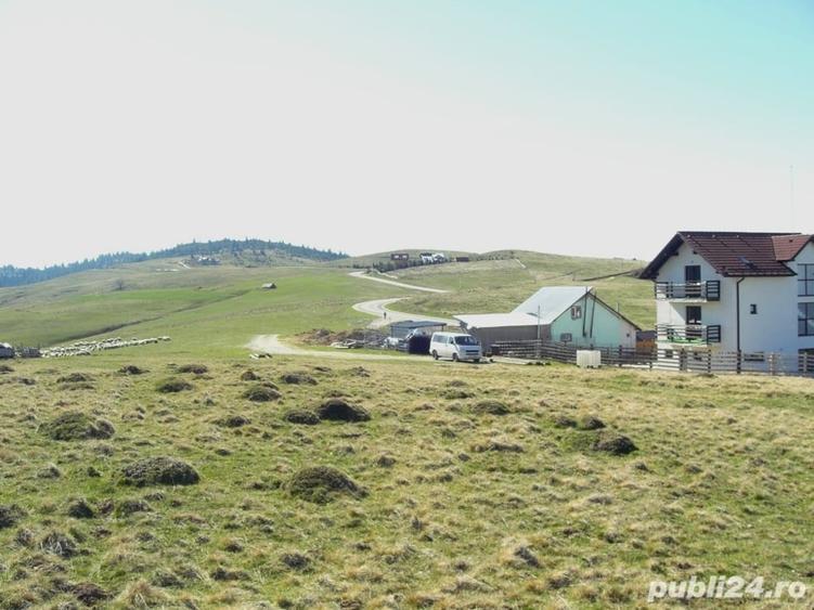 Teren de 10632 mp, în Paltin