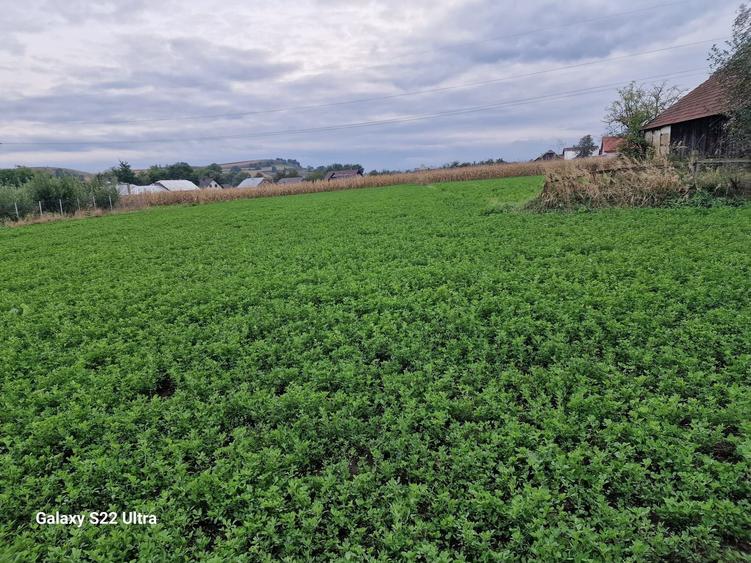 Vand teren intravilan 3500mp,sat Costana, com Todiresti - 6