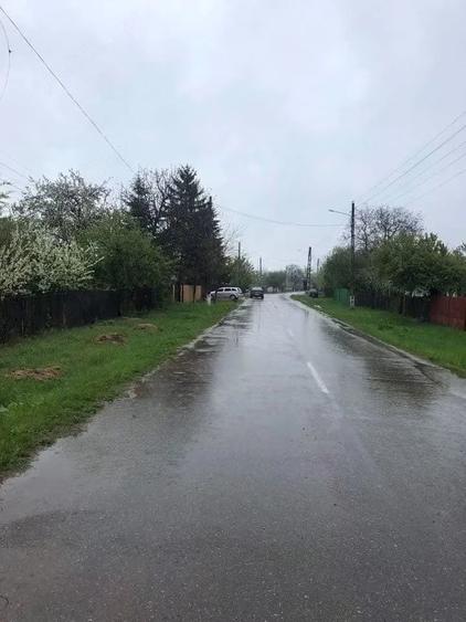 Teren de 7700 mp, în Letca Veche