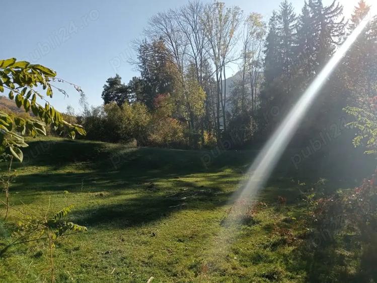 Teren de 11722 mp, în Dragoslavele