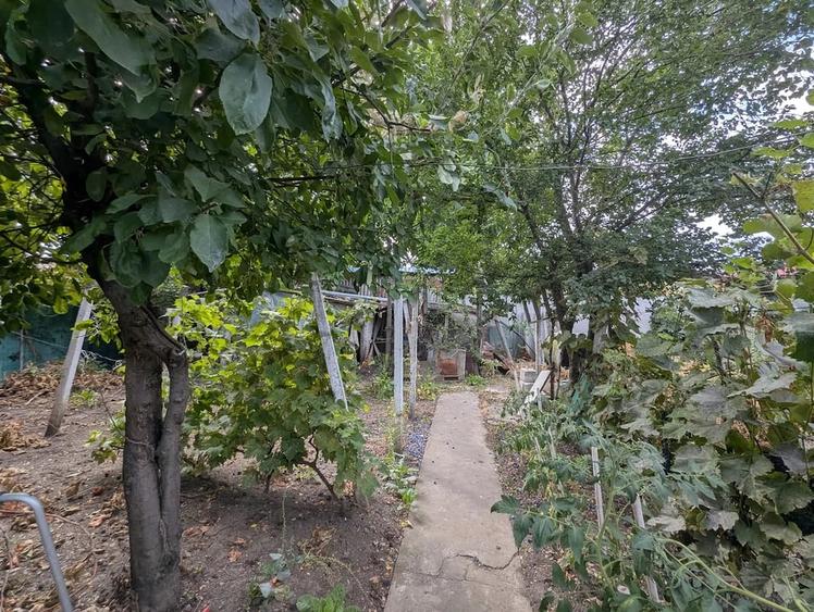 Casă cu Teren 500 Mp în Central