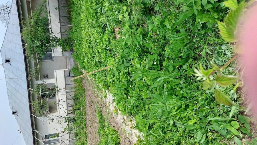 Casă în Baba Ana