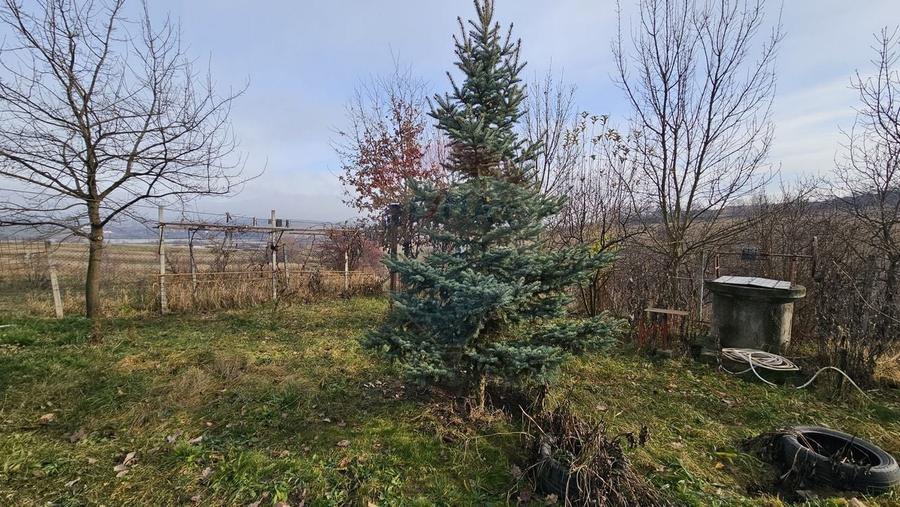 Teren extravilan de 10791 mp, în Fălticeni