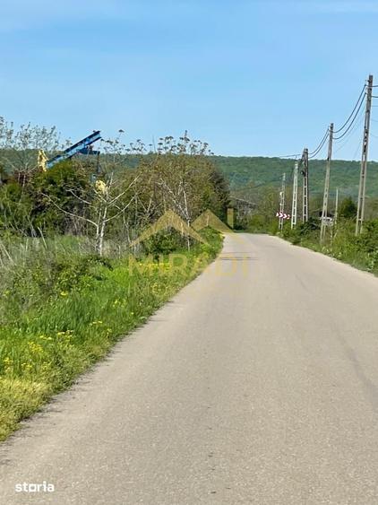 Teren de 7500 mp, în Boldești