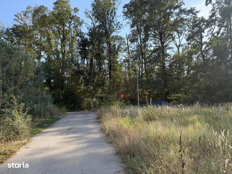 Vand Teren Str. Drumul Padurea Pustnicu, langa Greenfield - 1