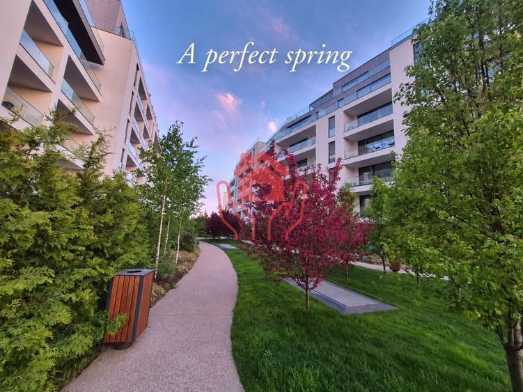 Apartament cu 2 camere decomandat, mobilat în Băneasa