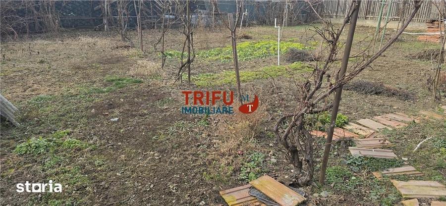 Casă cu 5 camere cu Teren 765 Mp în Bărăbanț