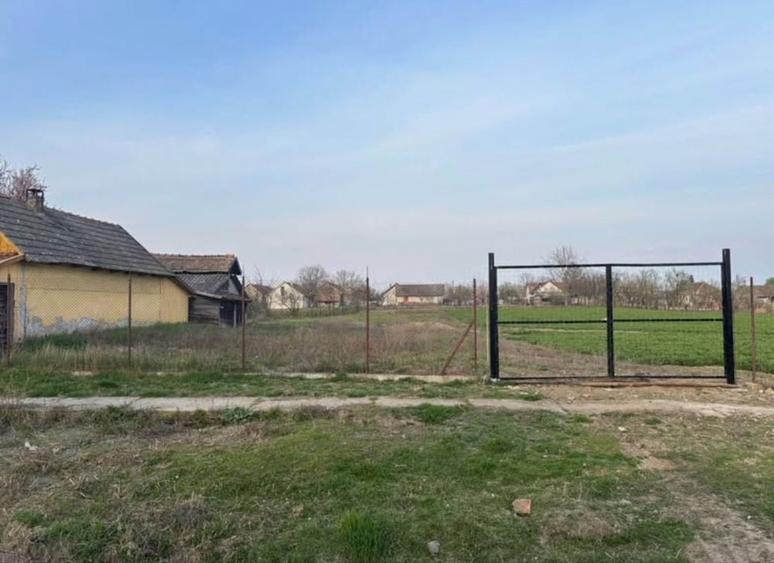 Teren de 1060 mp, în Sintea Mare