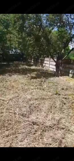 Casă cu 1 camere cu Teren 6250 Mp în Filipești