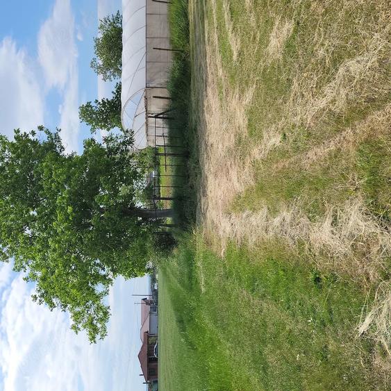 Teren de 4332 mp, în Fughiu