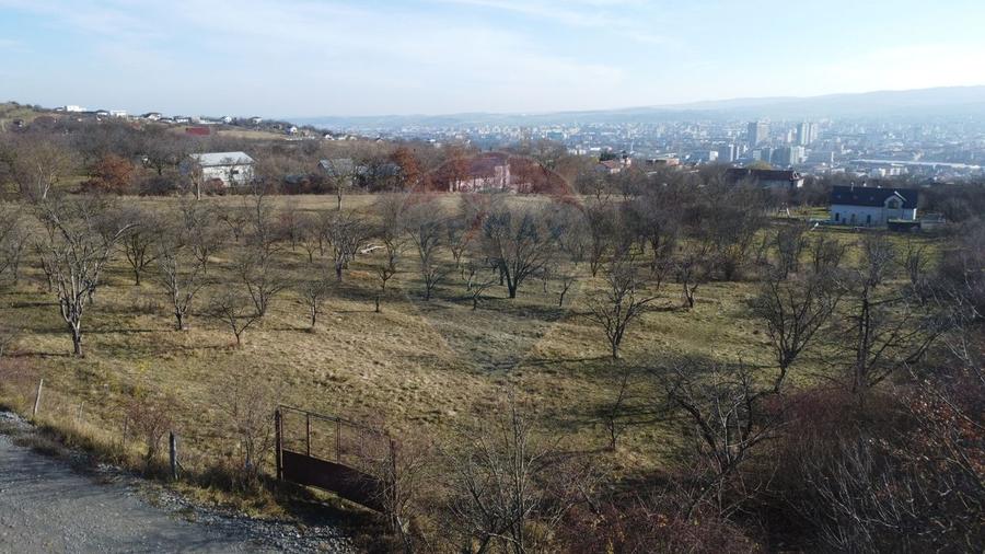 Teren agricol extravilan de 20146 mp, în Dâmbul Rotund