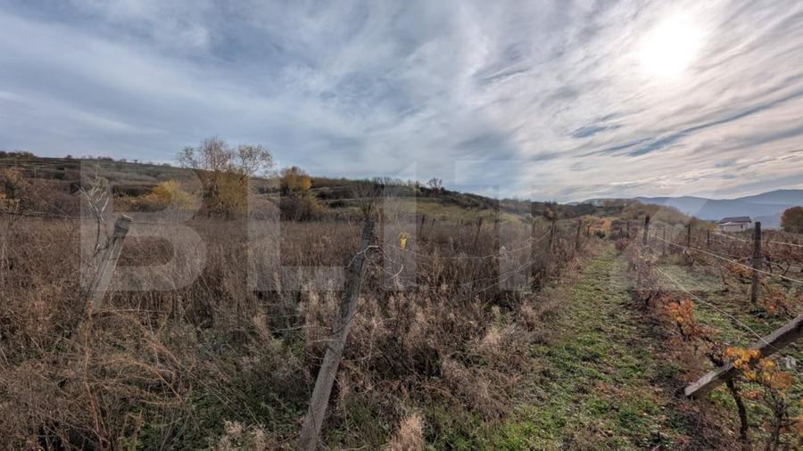 Teren agricol extravilan de 2000 mp, în Șard