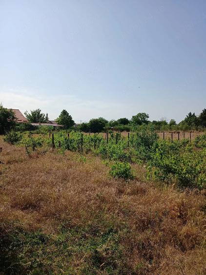 Casă cu 3 camere cu Teren 4400 Mp în Crucea