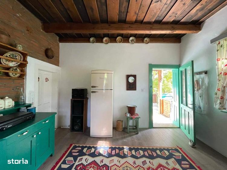 Casă cu 2 camere cu Teren 5032 Mp în Puini