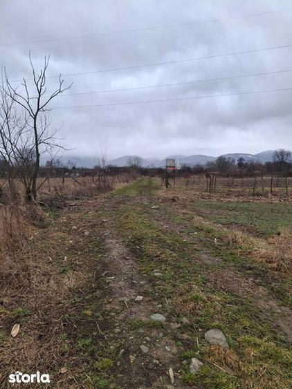 Teren de 2649 mp, în Porumbacu de Jos