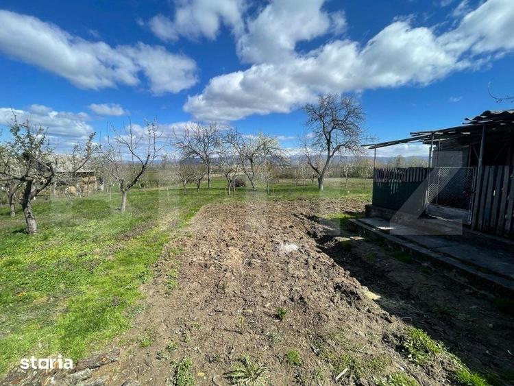 Casă cu 3 camere cu Teren 3000 Mp în Central