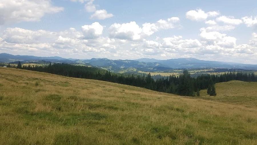 Teren de 160000 mp, în Breaza