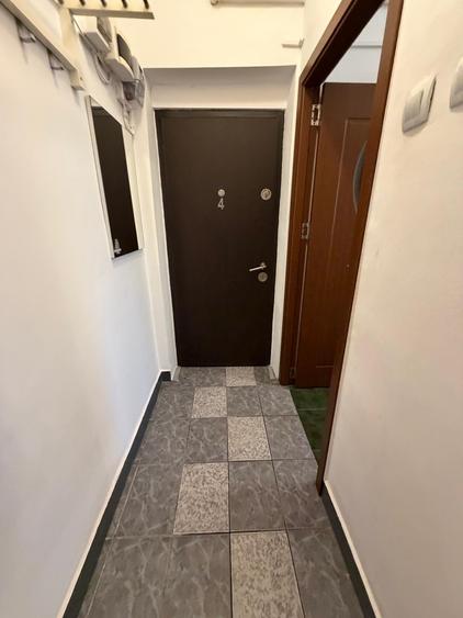 Baba  Novac Dristor Muncii - FARA INTRETINERE - Gradina proprie de 30MP - 5