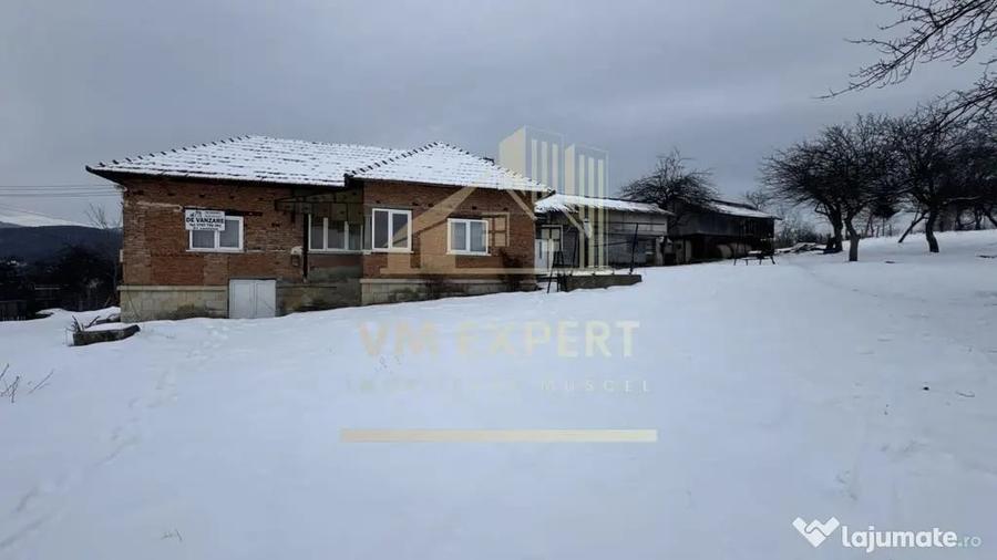 Casă cu 4 camere cu Teren 3038 Mp în Albești