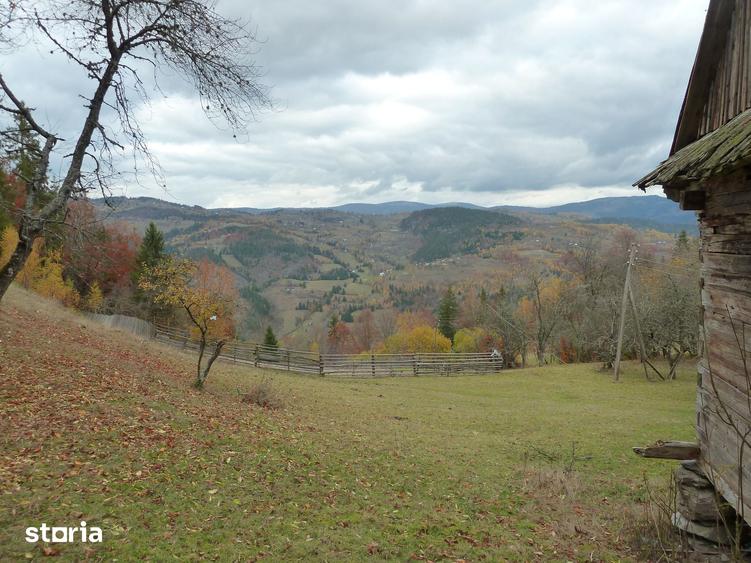 Teren de 44025 mp, în Scărișoara