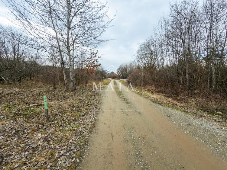 Teren extravilan de 2200 mp, în Calea Poplăcii