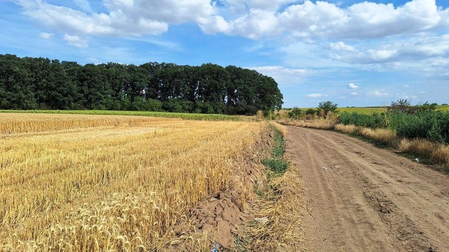 Teren agricol extravilan de 7961 mp, în Frumușani
