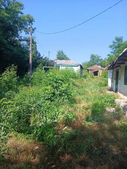 Teren de 2100 mp, în Măcișeni