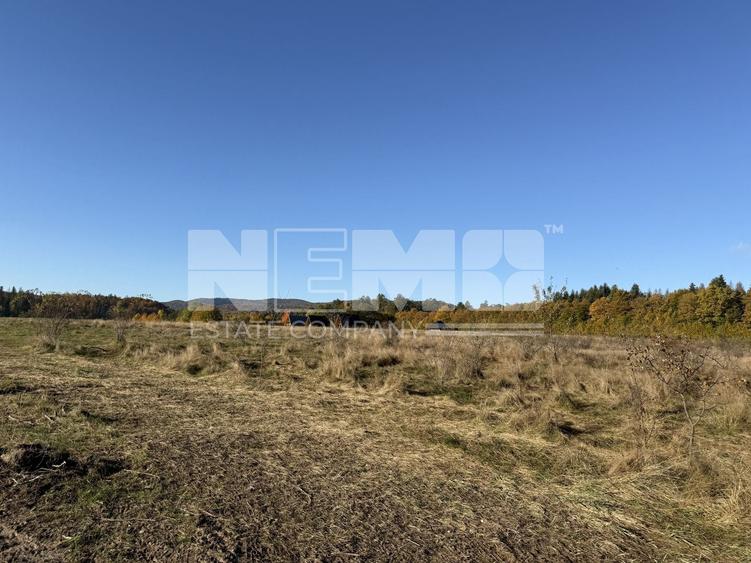 Teren agricol intravilan de 2900 mp, în Horodnic de Sus